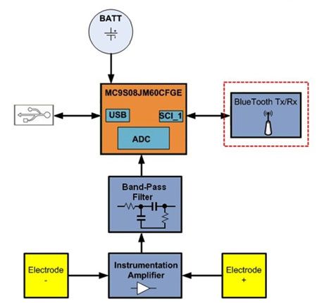 In a typical heart rate monitor, an MCU processes heart rate signals MCU processes heart rate signals